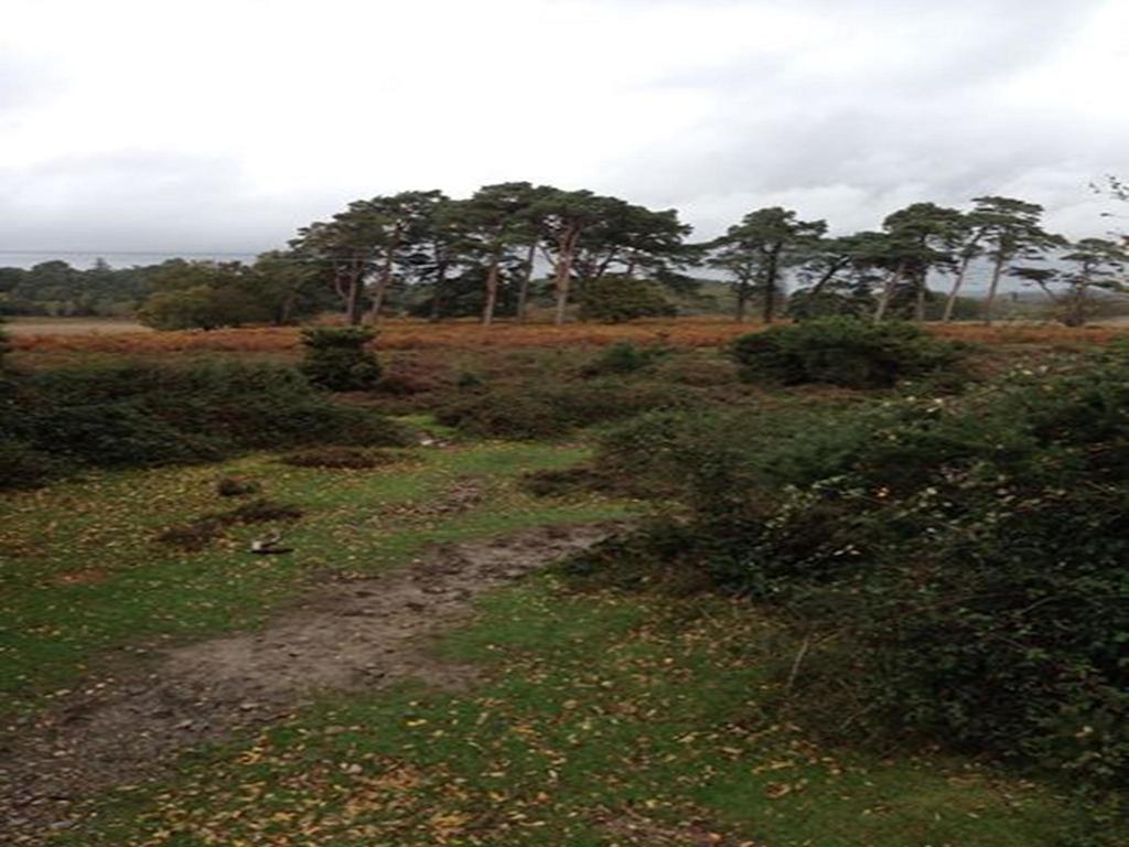 Auplands En-Suite Rooms Lymington Extérieur photo